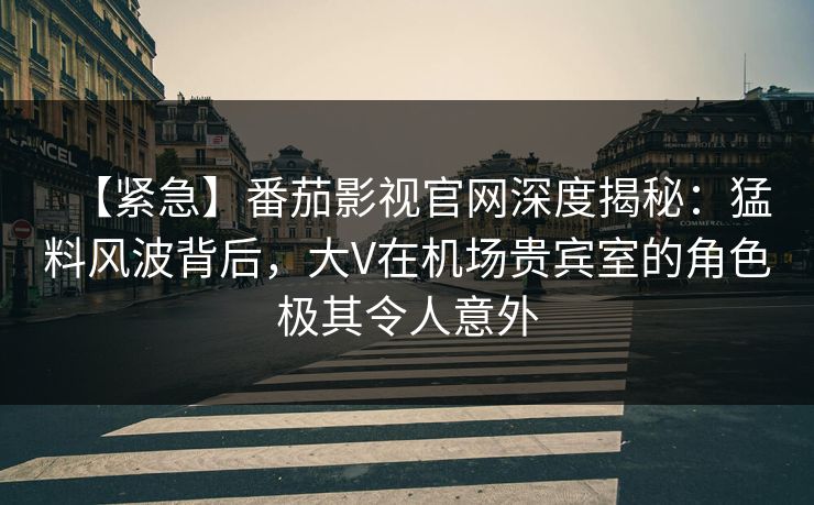 【紧急】番茄影视官网深度揭秘：猛料风波背后，大V在机场贵宾室的角色极其令人意外
