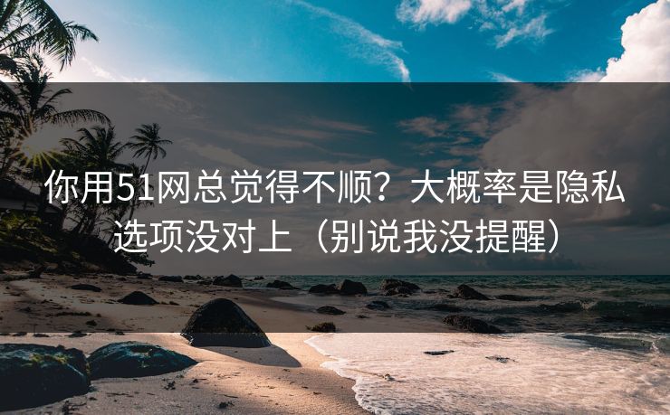 你用51网总觉得不顺？大概率是隐私选项没对上（别说我没提醒）