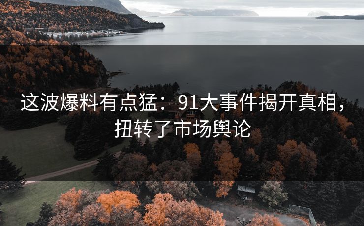 这波爆料有点猛：91大事件揭开真相，扭转了市场舆论